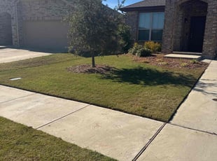 Gwen A.'s lawn service service result