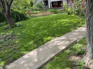 Terry S.'s grass cutting service result