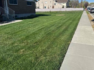 Johnny L.'s grass maintenance service result