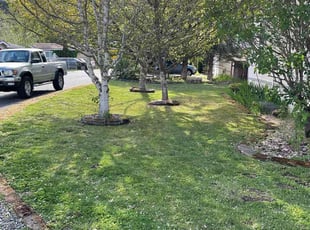 Rebecca T.'s turf maintenance service result