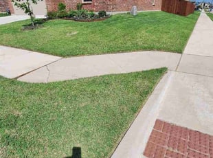 Mariya G.'s grass cutting service result