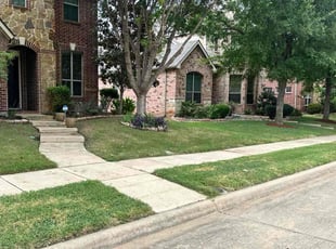 Sarah V.'s grass cutting service result