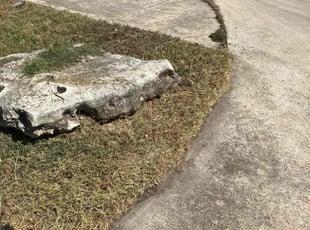 Nancy D.'s lawn care service result