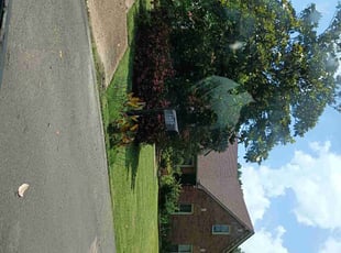 Joatta D.'s turf maintenance service result