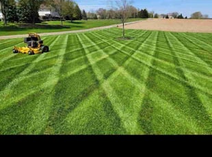 Lelenya K.'s turf care service result