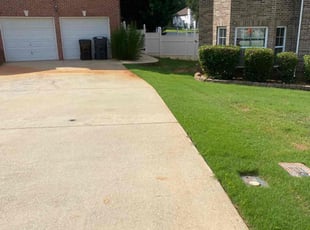 Jackie M.'s turf maintenance service result