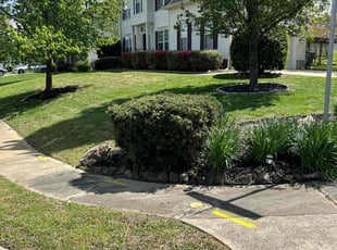 Ennis W.'s yard work service result