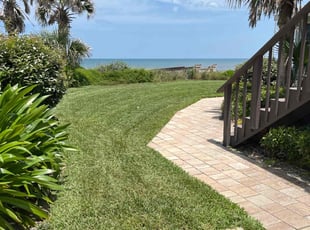 Evelyn C.'s lawn care service result