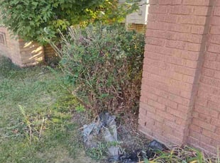 John A.'s Bush Trimming service result