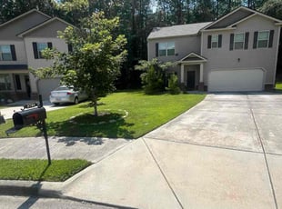 Renee J.'s turf care service result