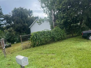 Erik M.'s grass cutting service result