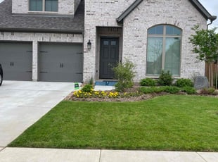 Julia K.'s turf care service result