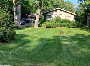 Paula S.'s grass cutting service result