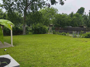 Ben S.'s turf care service result
