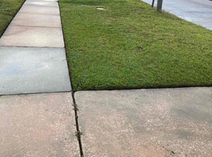 Kim, C.'s lawn maintenance service result