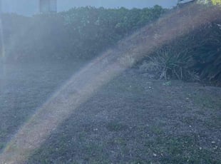 Jim W.'s Bush Trimming service result