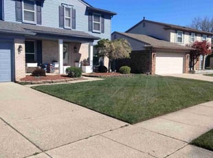 Jenna D.'s yard care service result