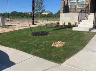 Sophia C.'s yard maintenance service result