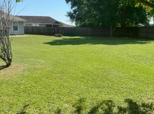 Tanell N.'s grass maintenance service result