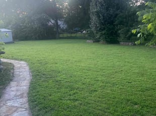 Mary A.'s lawn care service result