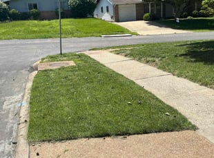 Layan D.'s lawn care services service result