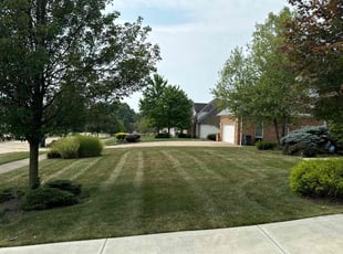 David A.'s lawn care service result