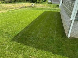 Rachelle F.'s lawn maintenance service result