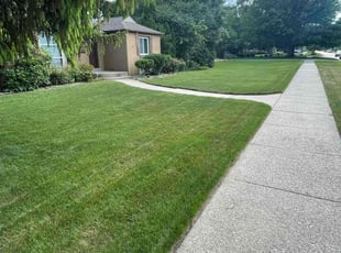 Fakhree T.'s Bush Trimming service result