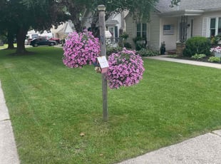 Phillip M.'s lawn service service result