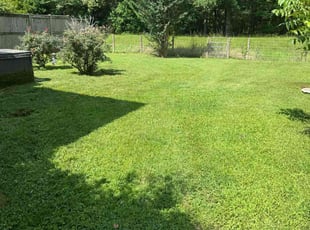 Warren C.'s gardening service service result