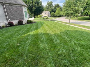 Rick S.'s grass cutting service result