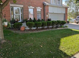 Paul S.'s grass cutting service result