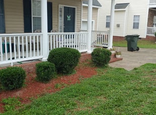 Pamela P.'s Bush Trimming service result