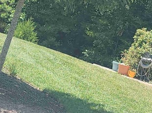 Brandi B.'s lawn maintenance service result