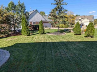 Barbara F.'s turf care service result