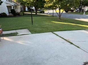 Martha M.'s turf care service result