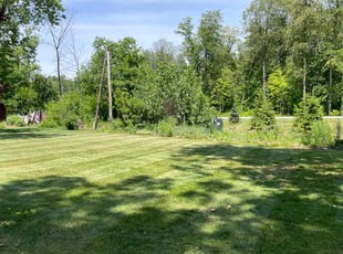Patrick A.'s turf care service result