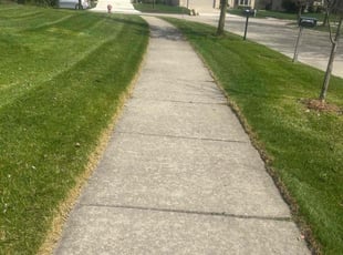 Henrique S.'s lawn care service result