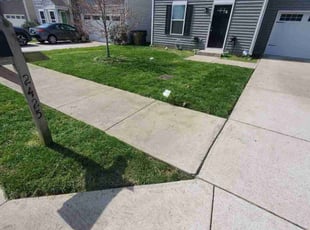 Darlene R.'s lawn care service result