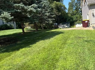 Khalina B.'s grass cutting service result