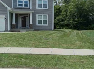 Crystal A.'s turf care service result