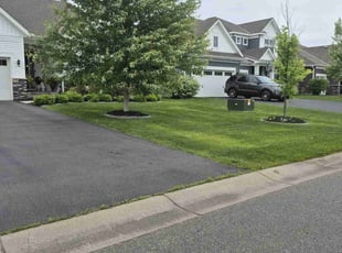 Tanya R.'s turf maintenance service result