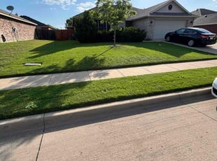 Amy S.'s grass maintenance service result