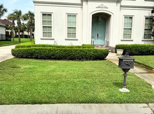 Stuart S.'s lawn service service result