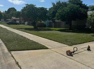 Dana N.'s grass cutting service result