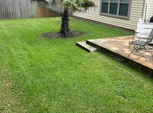 christina n.'s turf maintenance service result