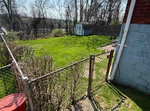 Lauren G.'s grass cutting service result
