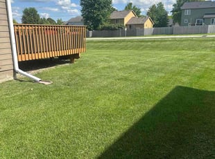 Stacie W.'s grass cutting service result