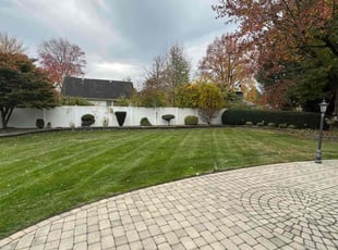 Terrance G.'s grass cutting service result