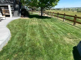 Deidre B.'s lawn care service result